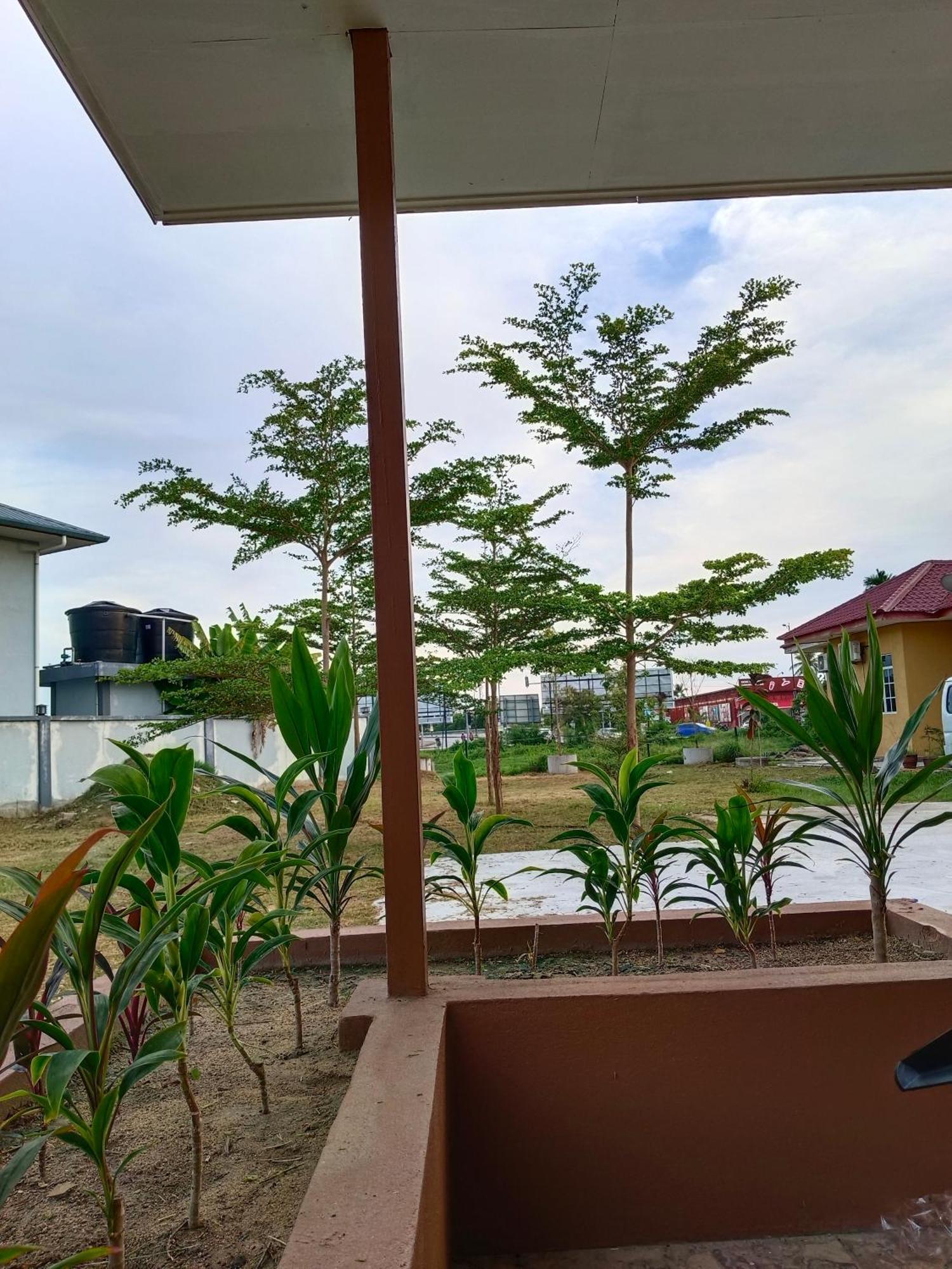 Alfa Roomstay 판타이체낭 외부 사진